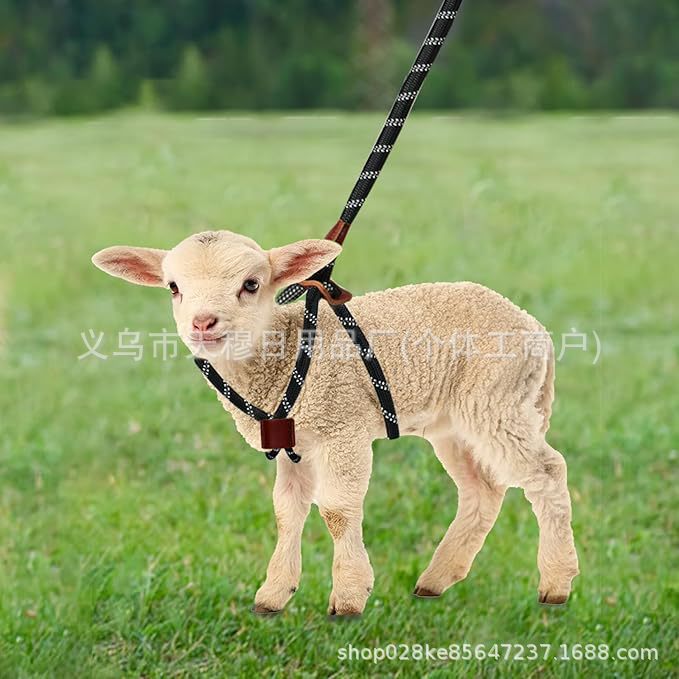 Directly Supplied from the Manufacturer: Cattle and Sheep Chest Harnesses, Universal Adjustable Traction Ropes for Goats and Lambs, Wholesale Farming Supplies