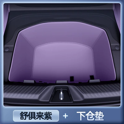 Trunk Mat, Trunk Mat - zhenxuan-lower-storage-mat-available-in-four-colors-anti-fouling-and-anti-wrinkle-dark-blue-l06