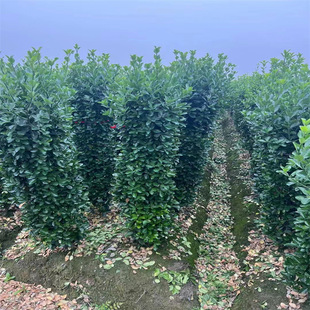 ���س��� ���~�S���� ���~�S��h�� ���NҎ�� Ʒ�Nȫ���󃞻�