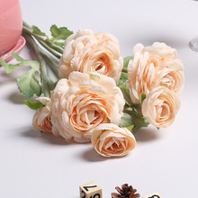 ��������¶�����滨 �Ҿ�װ����Ӱ�ز����컨����軨ֲ��2ͷëݹ