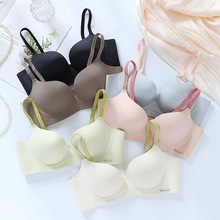 2023�¿�sӢ���۔n������Ů�o�Ȧ���غ񱡱������������Q�羳