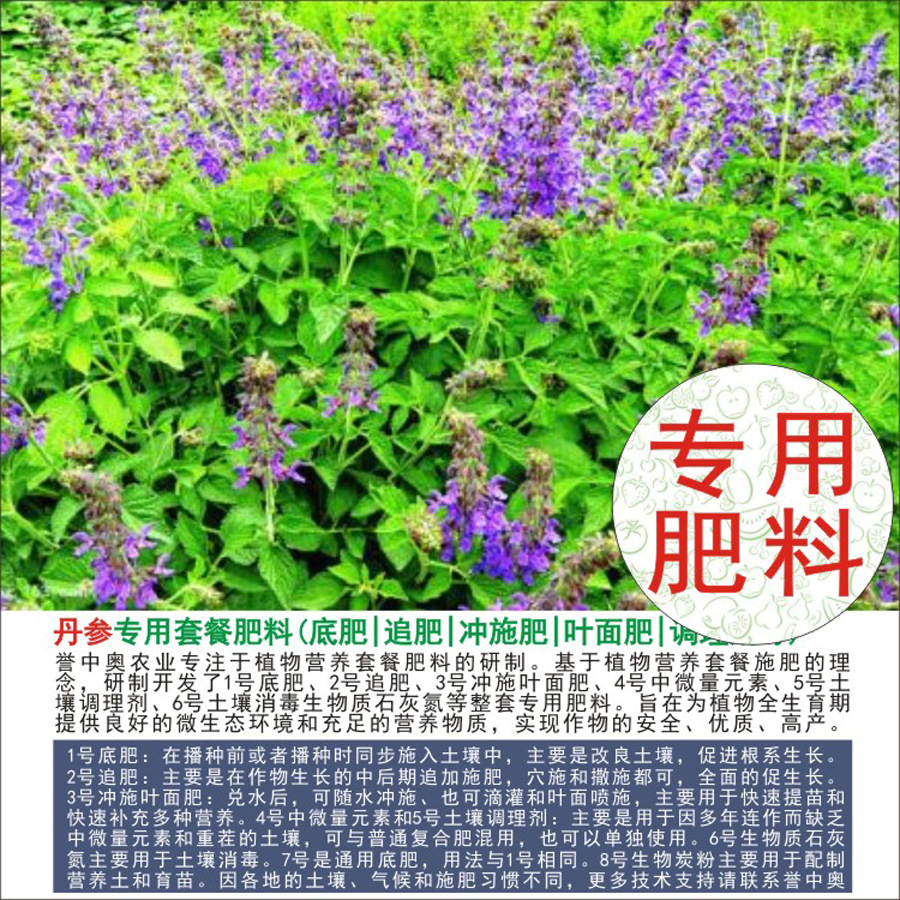 50�����аµ���ר���л��ʸ��Ϸʵ׷�׷��Ҷ��ʳ�ʩ��ˮ�ܷ�