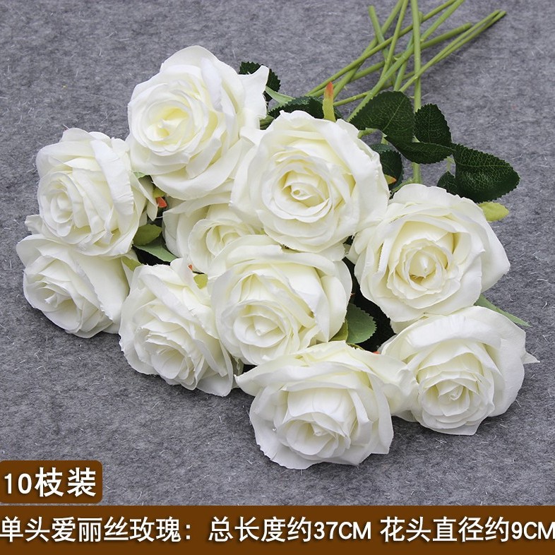흰색 단일 지점 앨리스/1 지점