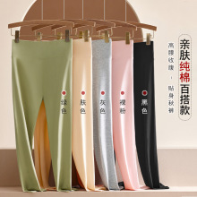 秋裤女士纯棉薄款内穿打底裤全棉线裤衬裤棉毛裤大码保暖裤秋冬季