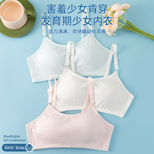 ��������Ů���³��и������̶�������12-18�괿��Ůͯ�ɵ���Ĩ��