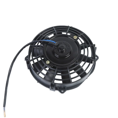 Price Wholesale, Fan