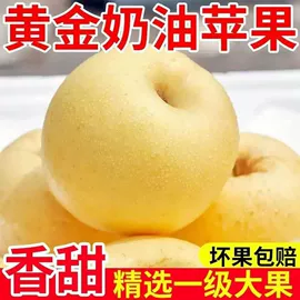 西式糕点;膨化;传统糕点