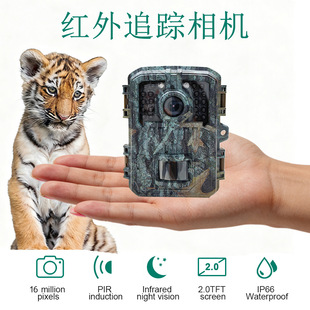 ��������׷ۙ���C�������ؼt��ҹҕ��ˮ�O�y�z��C���@܇�����C