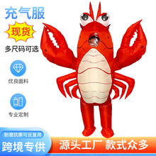 Դ�^�S���f�}�����ɐۿ�ͨ��ż�Ɍ�������ż���Ցc�䪚�ǫF����