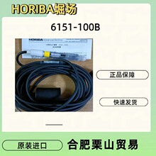 �ձ�HORIBAܥ��PH늘O6151-100B