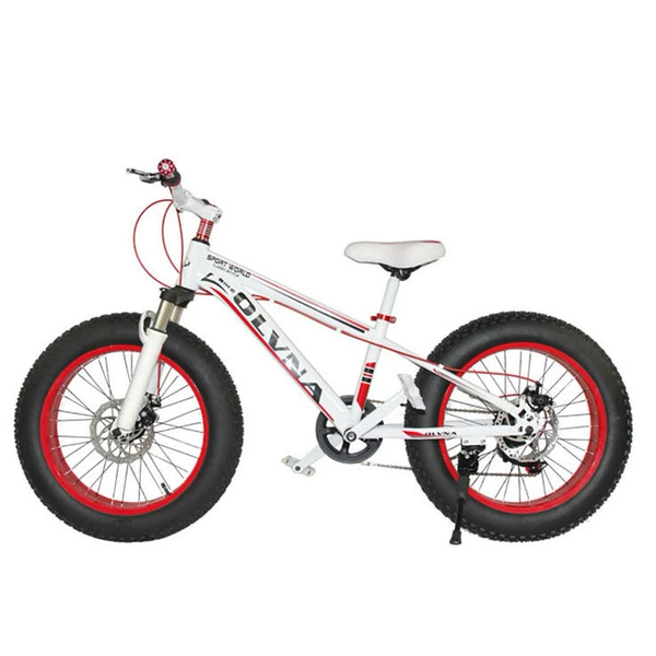 20-inch-Baihong