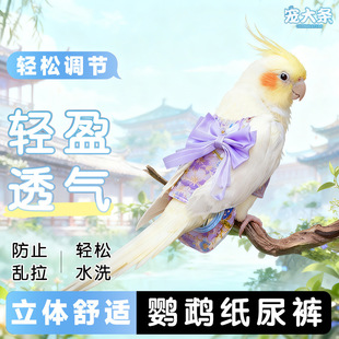 �W�^�h���򲻝�Ƥ���Pĵ���B�·����{��ʺ��������羳���lZR