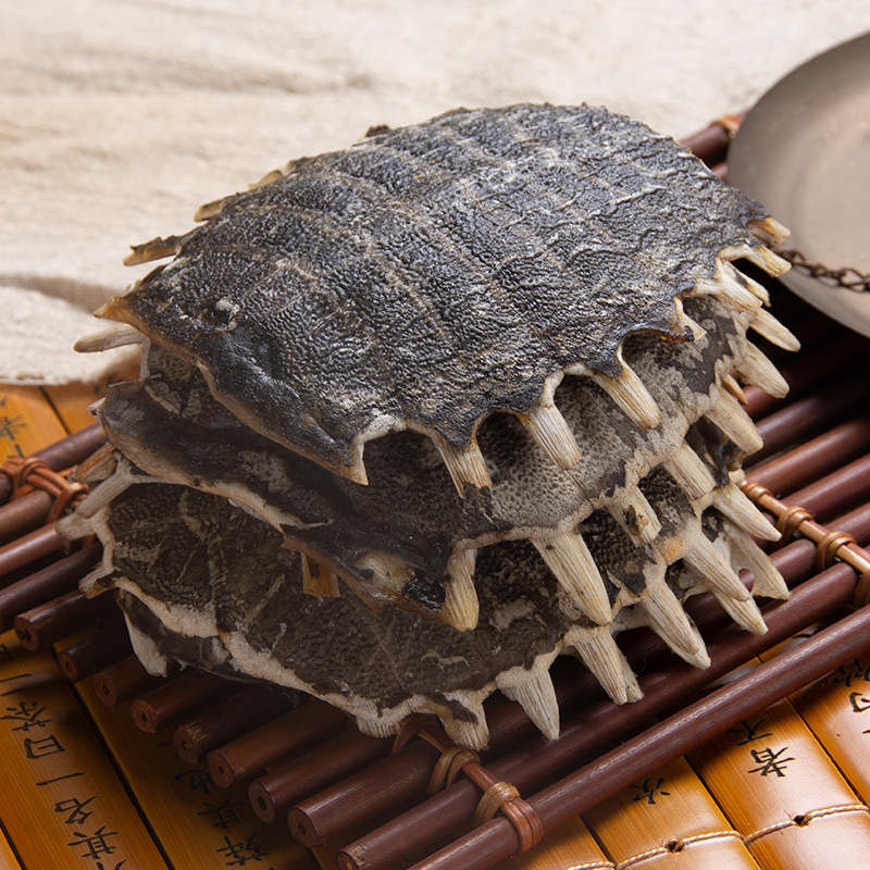 Whole Turtle Shell Bie Jia 鳖甲 Dried Chinese Herbal Material for Decoction or Grinding 1 Piece 11-12 cm quality and texture