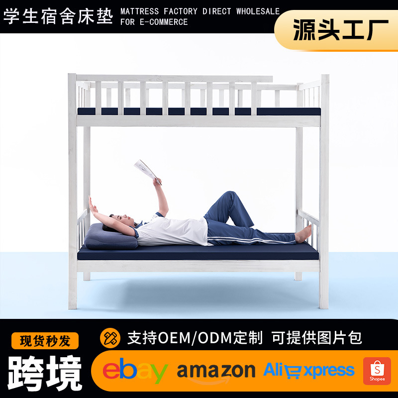 Thin Removable and Washable Memory Foam Mattress for Student Dormitories, Single-Person Rental, Camping, Foldable Sponge Tatami Hard Mat