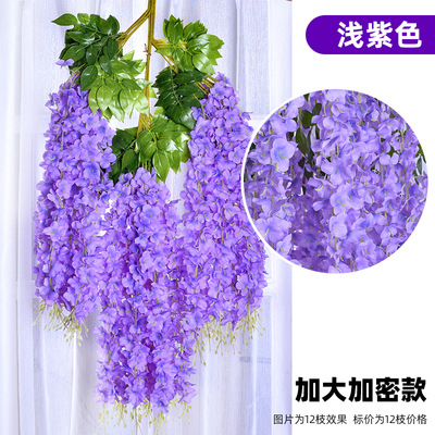 Mayor cifrado-púrpura claro