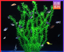 ~ˮbˮˮ쾰ײͼˮbϸ߿ˮݾG