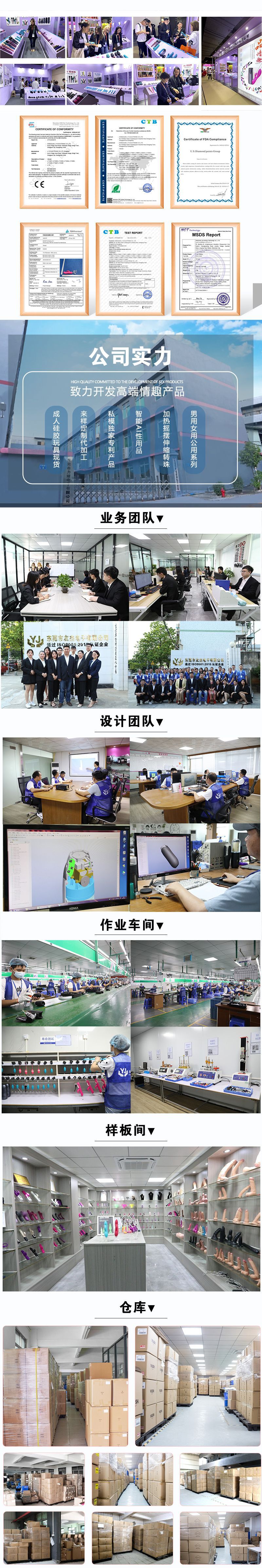 公司实力新修改