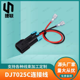 DJ7025C-2.8-11/21汽车线束插头H1531-2P防水汽车倒车灯插簧线厂