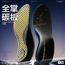 ��ɫ̼���\��Ь�|�ߏ��Ȍ������I�@����ë��Ť�����_�д���p��