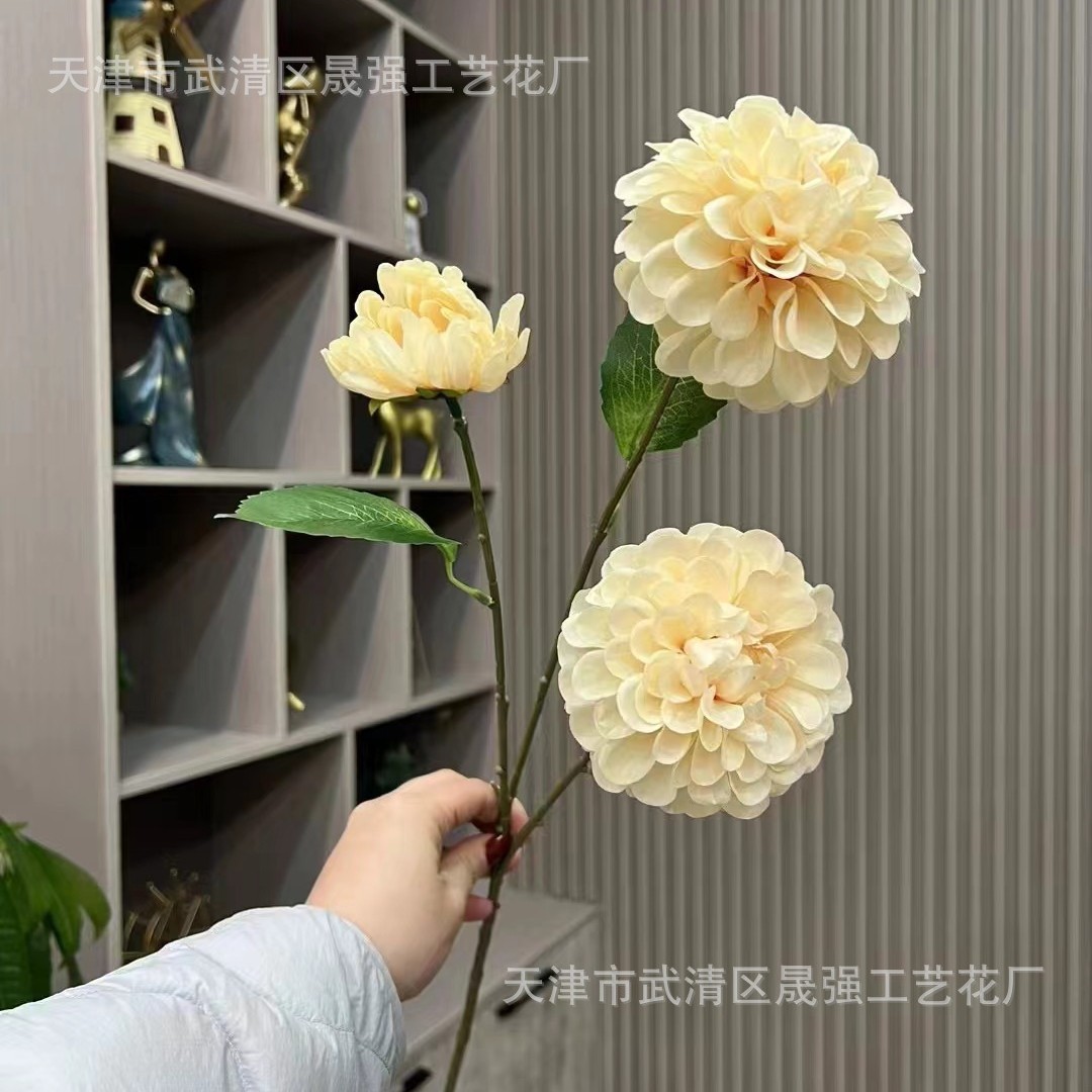 샴페인