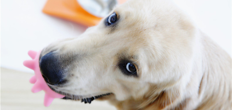 O1CN017Ox7zw27HdAknj5MH_!!962497772-0-cib.jpg?__r__=1713344844908