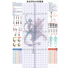 6WUI批发青少儿体态评估表身高站姿体测表男孩女孩测量图幼儿形体