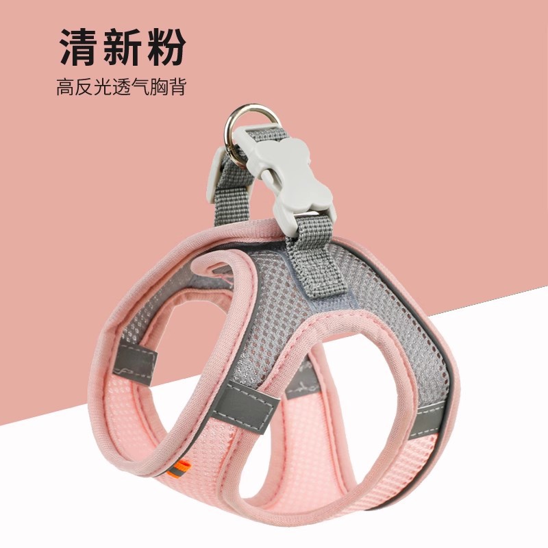 프레시 파우더 [가슴, 등 싱글피스, 로프 제외]