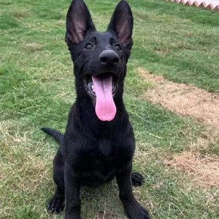 ���ۼ��N�|������Ȯ��Ȯ���w �|������Ȯ ������Ȯ���w����Ȯ���w