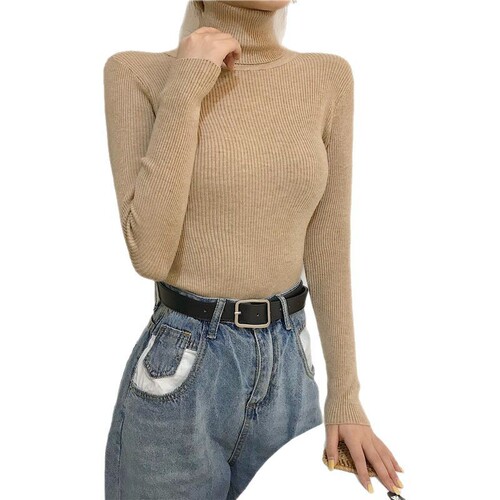 High-neck sweater women's autumn/winter Korean-style fashionable slim-fit versatile knit base layer top long-sleeved pullover for outerwear