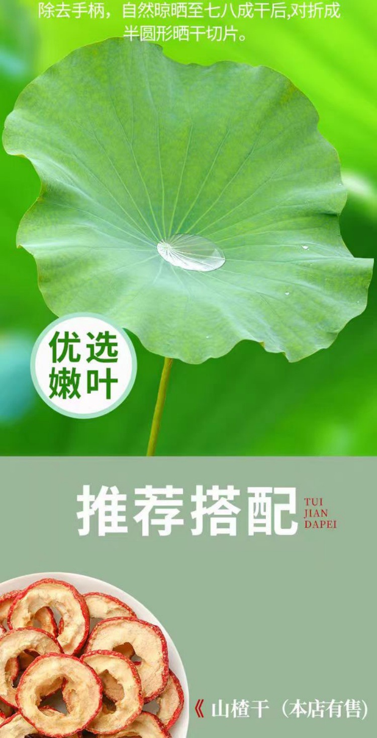 Lotus Leaf Pieces (Nelumbo nucifera) — Dried Food Herb for Tea & Daily Brewing overview