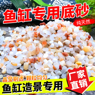 Crystal Jade Sand Stone Fish Tank Base Sand Landscape Decoration Fleshy Flower Pot Paving Small Turtle Paving Natural Small Jade