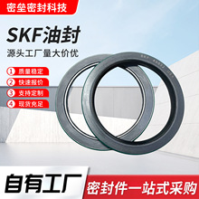 SKF��׼�ͷ�˫����NBR/FKM���ʷ�©���͸�ʴ���̻�еר���ܷ��