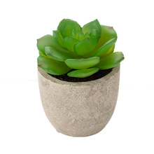 ����M���������ַNֲ�ײͿ͏d΢������ֲ�（�{�����\�߷���