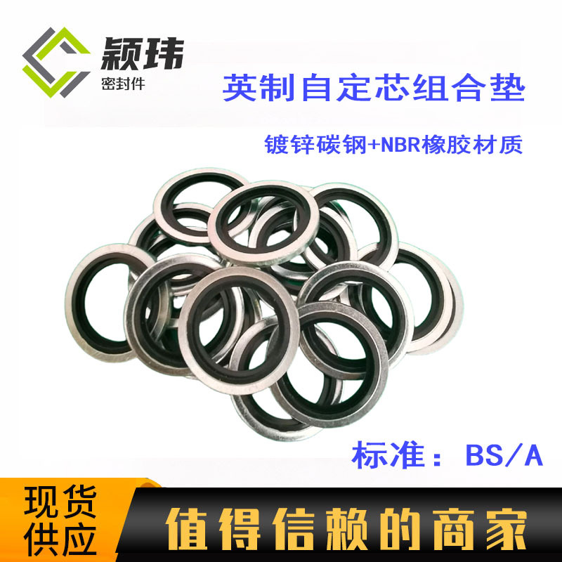 厂家供应优质组合垫 英制镀锌组合垫 自定芯组合垫圈片 油管