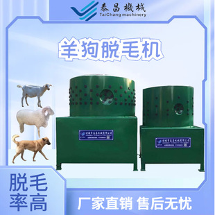 ��Óë�C����Ó��ë�C�����ëȥë���������O����Óë�C��