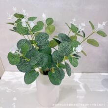 �����ȼ����~�����b決����b���c�廨��֧���~�G֦�Ҿ��b�