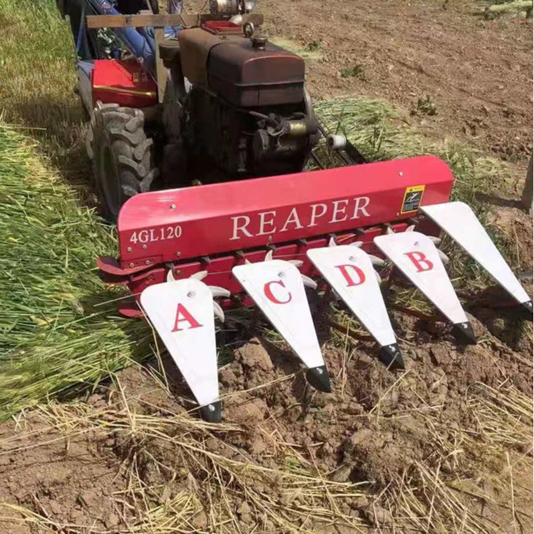 soya pasto alfalfa cosechadora colza anís pimienta cortador de soleado centeno maíz paja máquina de colocación de chips