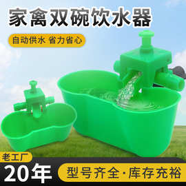 家禽饮水碗全自动双碗饮水器鸽子鸡饮水碗蛋鸡饮水养殖饮水碗批发