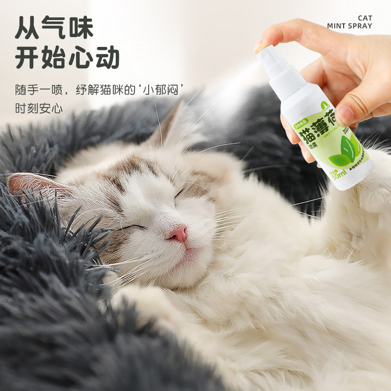 En stock al por mayor Pipi Tao catnip spray 50ml gato divertido gato feliz juguete interactivo