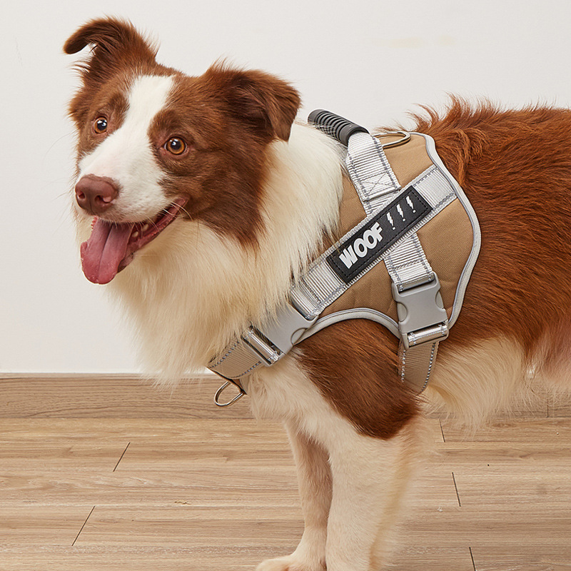 Tedora nueva correa de pecho para mascotas transfronteriza correa de perro Oxford tela a prueba de explosiones en el pecho en la acción al por mayor