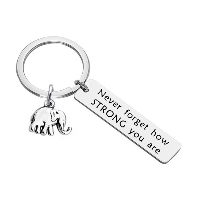 13g Weight Keychain Classification Daily Occasion 201 Stainless Steel Material Letter, Elephant Pattern Unisex Gender Simple Style Style Simple Style Letter Elephant 201 Stainless Steel Unisex Keychain 无