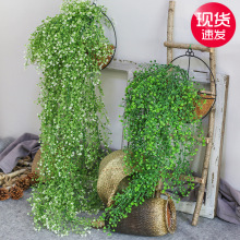 ������R���͏d�����b��҃ȾGֲ�ڒ컨�ٗl����ֲ����m�����쾰