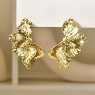 �W�����w��Ҏ�t���y���Ϊ��؂����F�����h2025�¿�Ůins�߼����