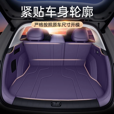 Trunk Mat: the Zero B10, Fully Enclosed