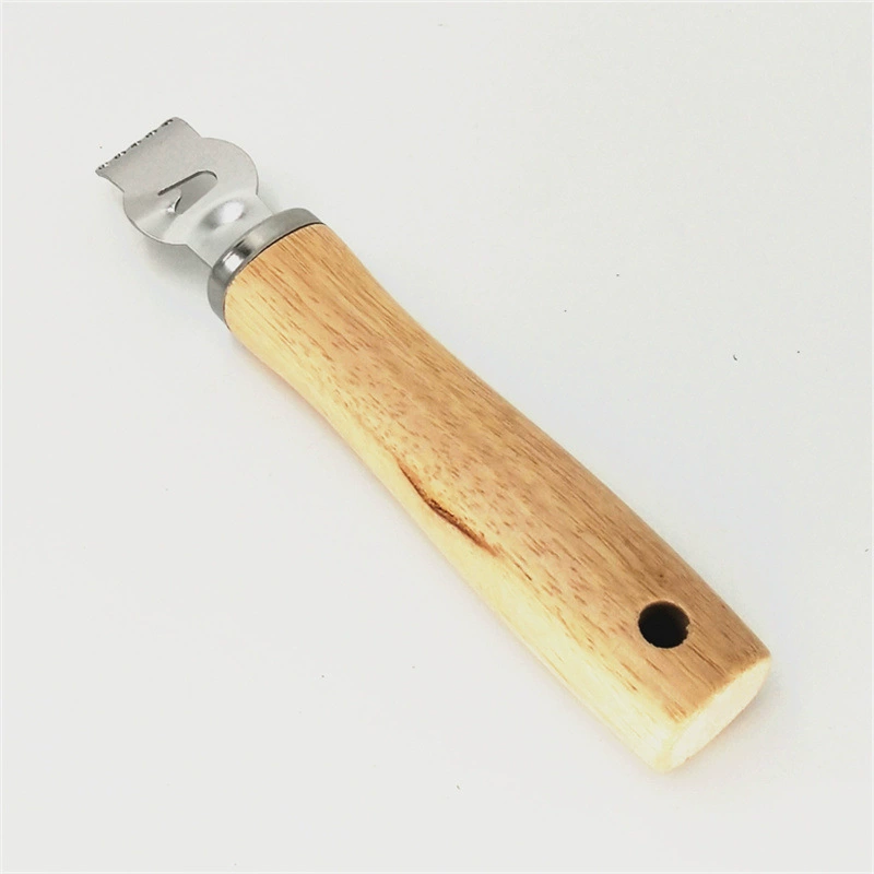 Stainless steel lemon scratch filament scraper shave scratch scratch navel orange opening orange gangsa tea tool peel orange artifact