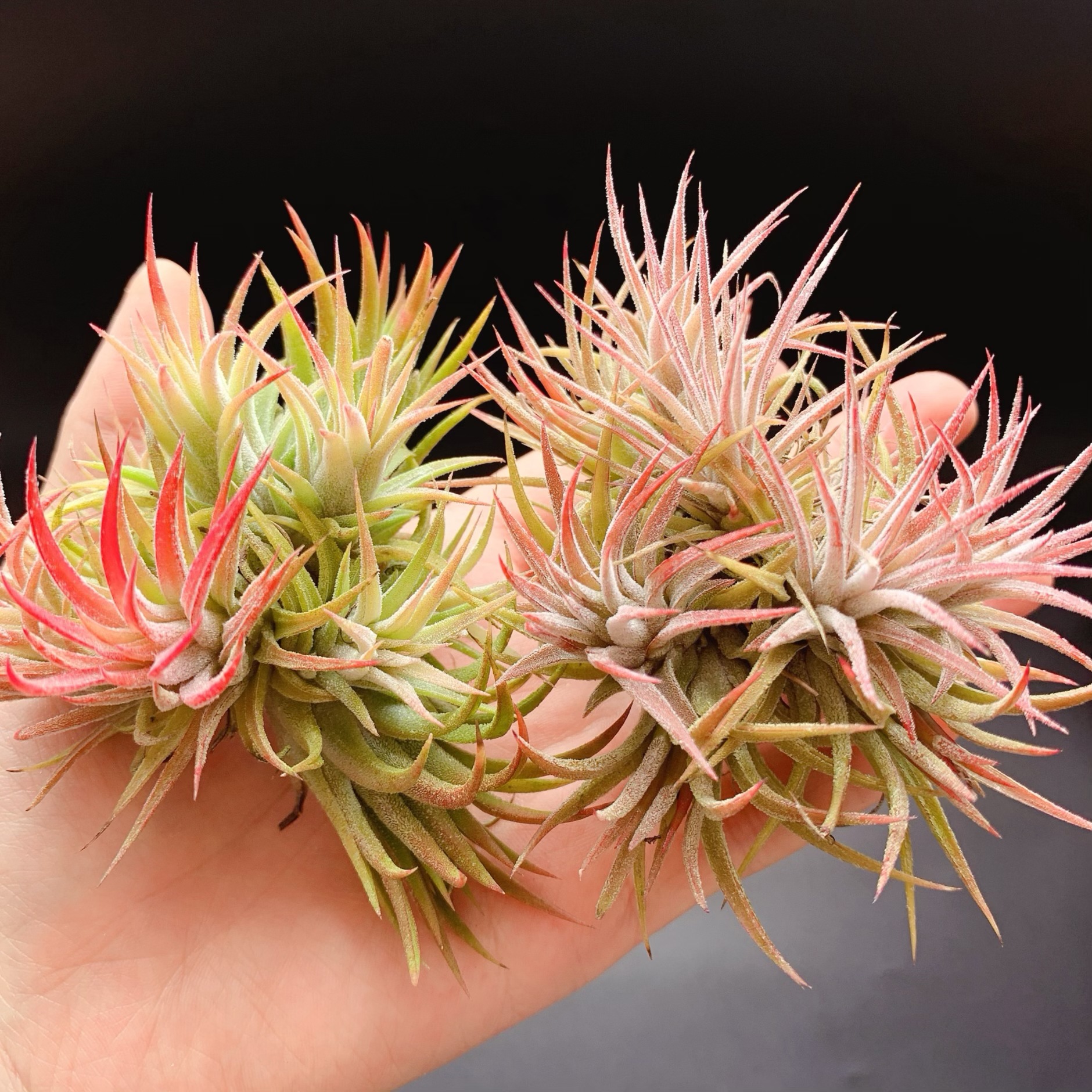 微信图片_20240411134807