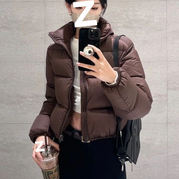Winter European Version Kendall Jenner Style Short High Waist Thickened Down For Women 2025 New Small Size Puffer Jacket_voghion.com