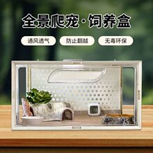 树栖饲养盒睫角守宫饲养箱透明透气收纳箱角蛙蜥蜴爬虫箱养殖箱