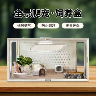 �䗫��B�н޽��،m��B��͸��͸���ռ{������������x���Bֳ��