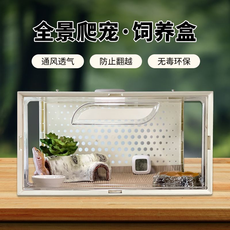 树栖饲养盒睫角守宫饲养箱透明透气收纳箱角蛙蜥蜴爬虫箱养殖箱